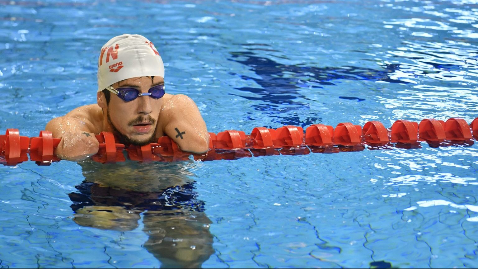 Natation féminin et masculin